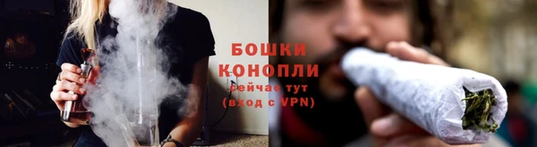 ALPHA PVP Дмитриев