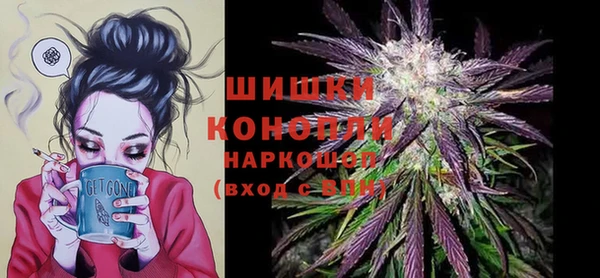 винт Дмитров