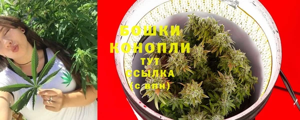 винт Дмитров