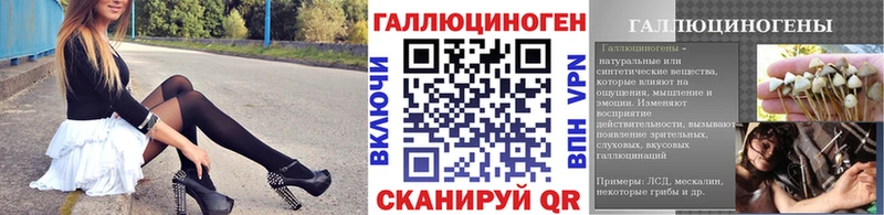 Псилоцибиновые грибы прущие грибы  Купить  Свободный 